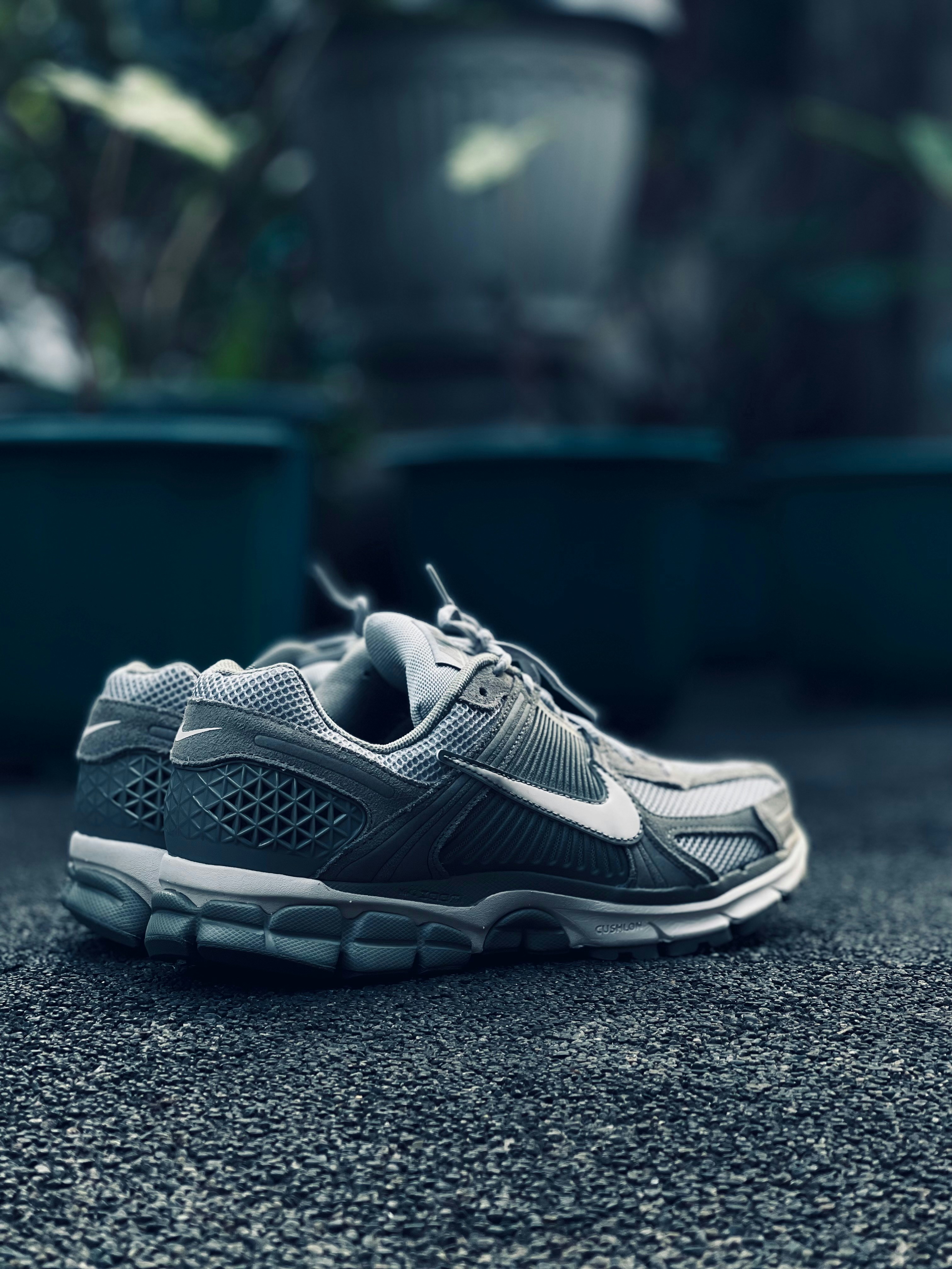 shoe